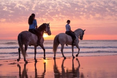 Agadir Flamingo River Horse Ride