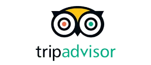 trip-advisor